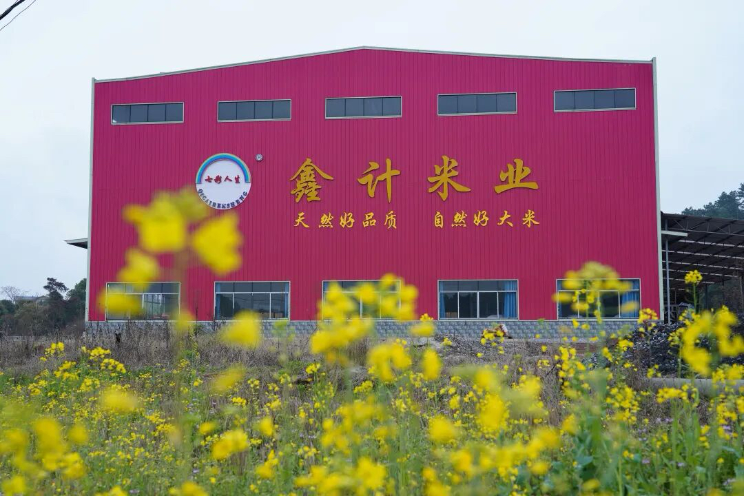 1765172664182556.png 图片1.png